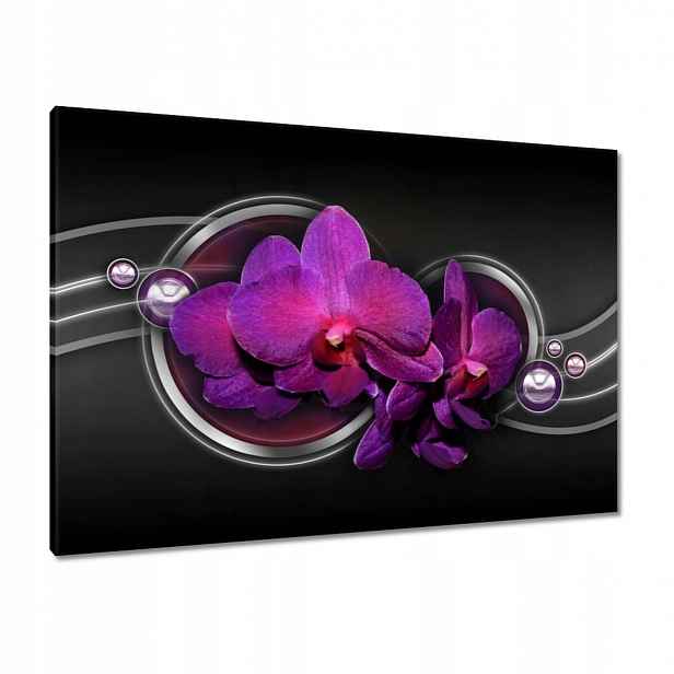 Obrazy 100x70 Fialová orchidej