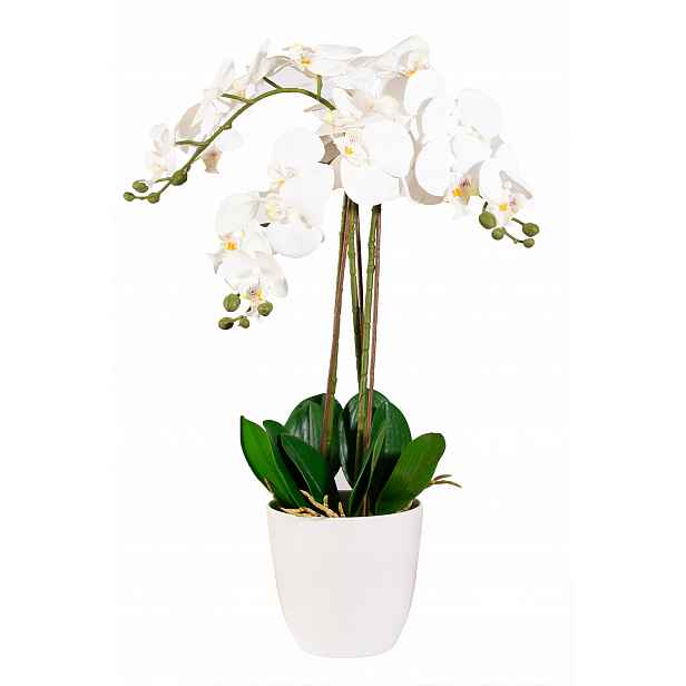Umělá Orchidej Velká Silikonová Bílá Dekorace Ozdoba Do Obývacího Pokoje 70 CM