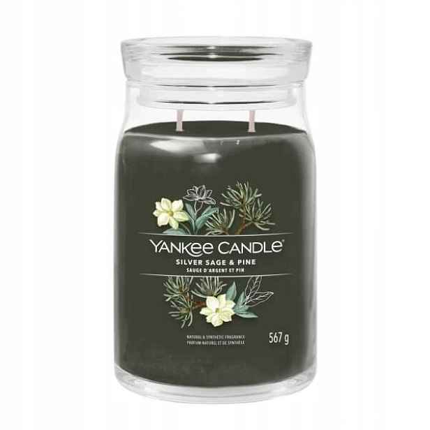 Yankee Candle Silver Sage & Pine Velká sójová svíčka se dvěma knoty 567 g
