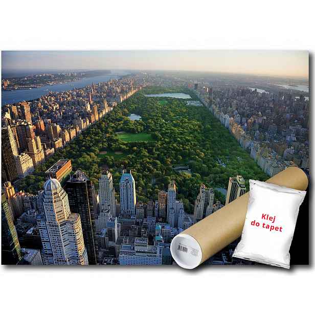 Vinylová Fototapeta New York Park Pohled 208x146