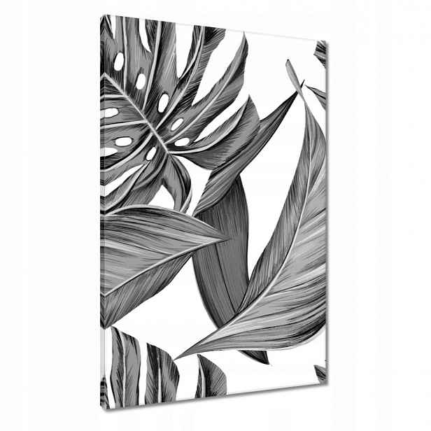 Obrazy 60x90 Monstera v šedé barvě