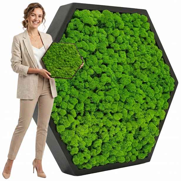 Obraz s Mechem Chrobotkem sobím Hexagon rámeček živá dekorace obrázek