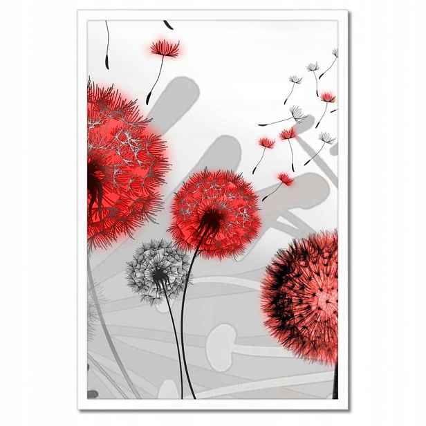 Plakáty v rámu 40x60 Červené pampelišky