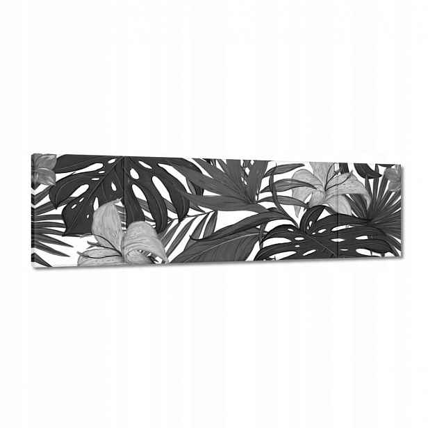 Obrazy 170x50 Černobílá monstera