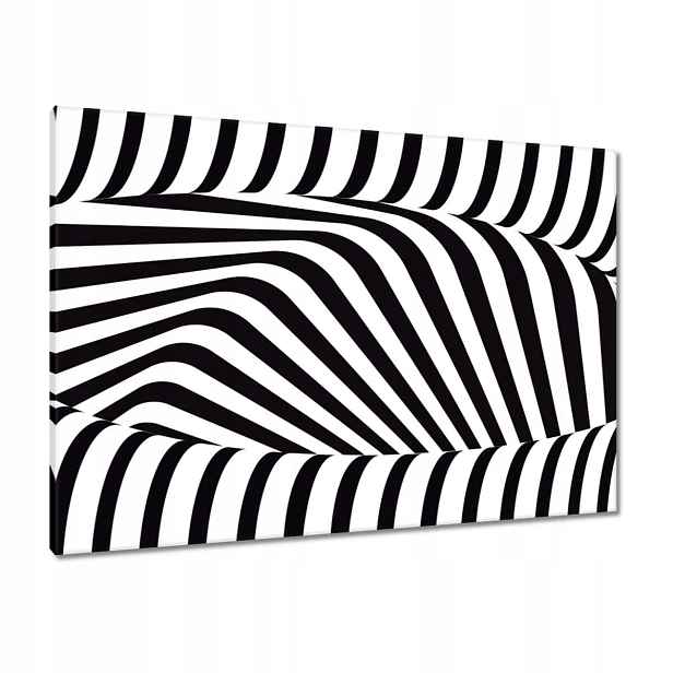 Obrazy 100x70 Abstrackja černobílá