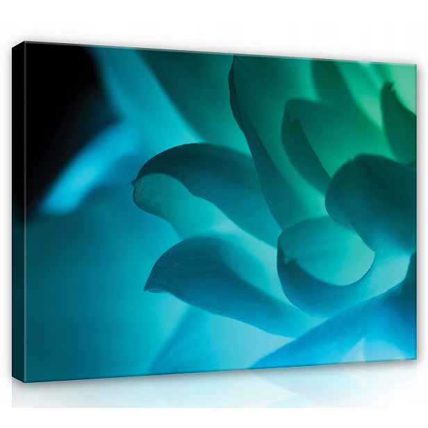 Obraz Na Plátně Canvas 80x60 Květ Příroda