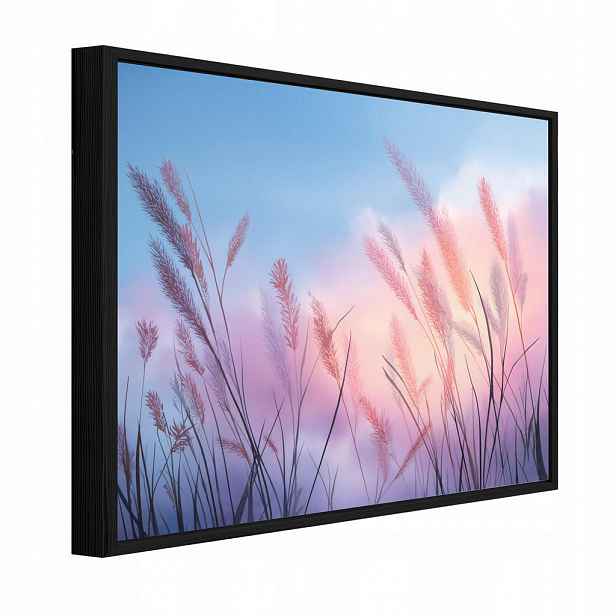 Wallarena ZARÁMOVANÉ obrazy pampasová tráva přírodní růžová 60x40 cm