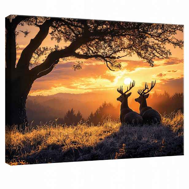 Wallarena NÁSTĚNNÉ obrazy jelen les příroda moderní 60x40