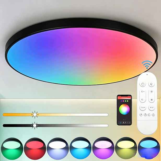 Stropní Svítidlo Stropní Svítidlo Led Rgb 24W Kulatá Barevná Černá 2700K-6500K