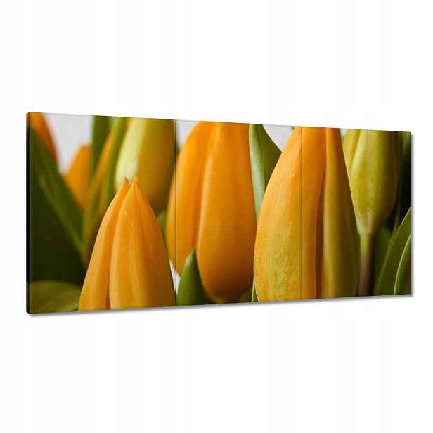 Obrazy 120x60 Žluté tulipány