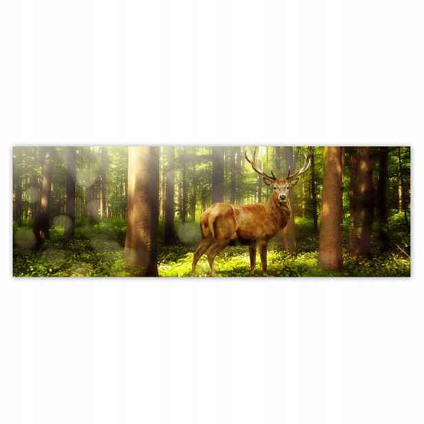 Plakáty 200x66 Jelen v kouzelném lese