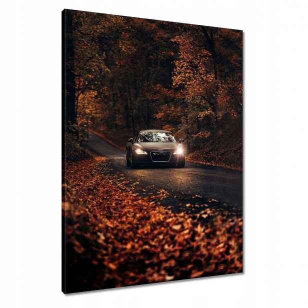 Obrazy 60x80 Audi Podzimní krajina