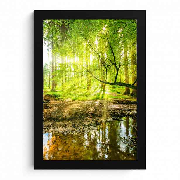 MuchoWow PLAKÁT V RÁMU Les - Krajina - Voda - Stromy - Slunce - Zeleň - Příroda 20x30 cm