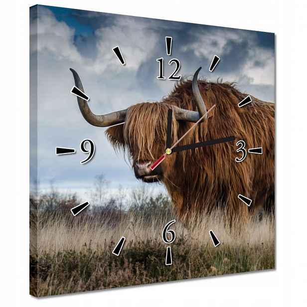 Hodiny 30x30 Kráva výškové rasy