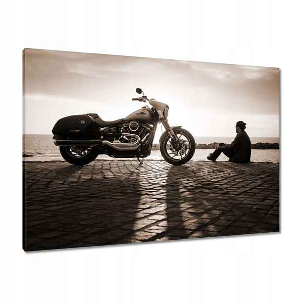 Obrazy 100x70 Harley Davidson Motocykl
