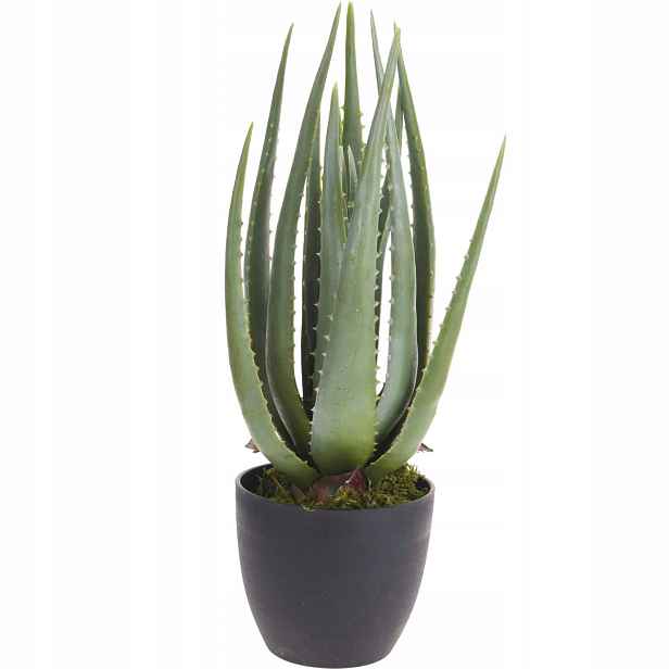 Umělý Aloe V Květináči Zelený Květináč 45 CM Na Parapet