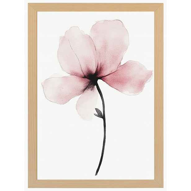 Plakát Rámeček Dřevo Akvarel Příroda Zahrada Květ Růžová Magnolie 60x80
