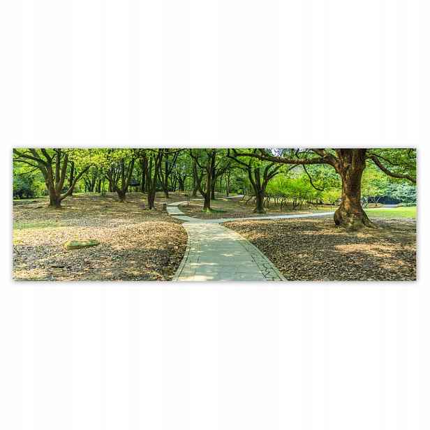 Plakáty 200x66 Zelený park s cestičkou