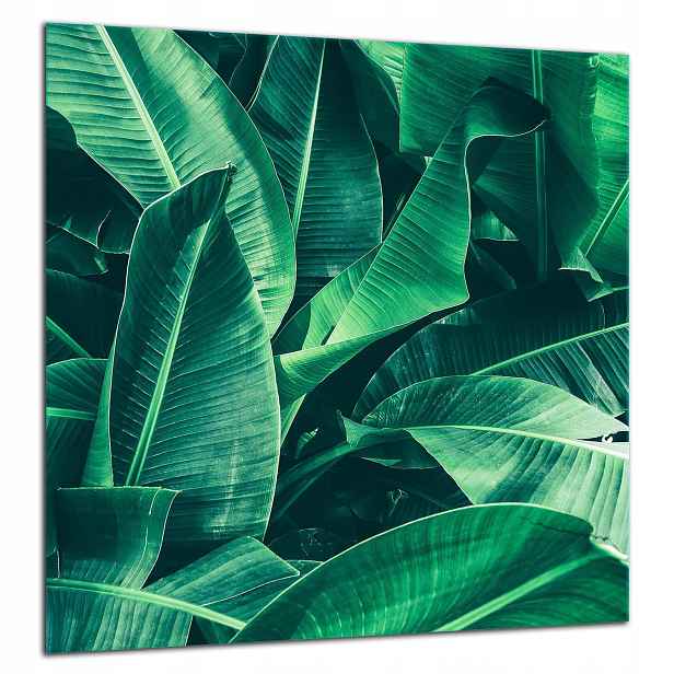 Skleněná Ochranná Deska Panel Lepidlo 60x65 Zelená