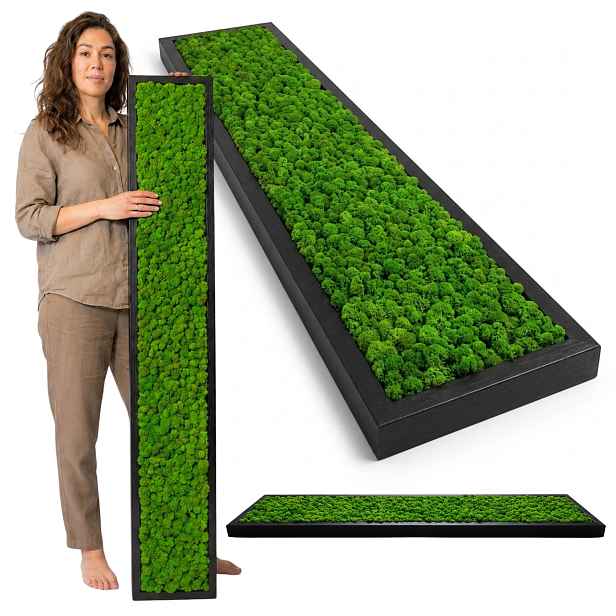 Obraz Z Mechu v dřevěném rámu 150x30 cm mech chrobotek Živý Panel Obraz