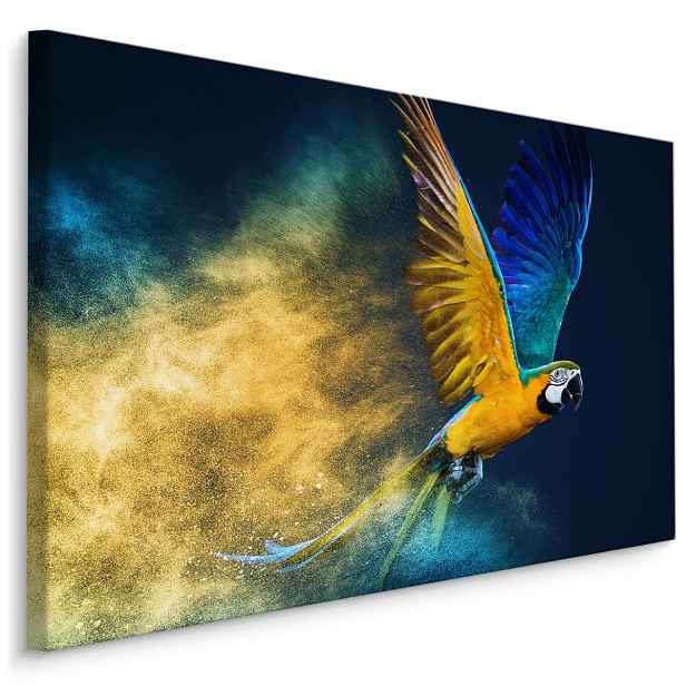 MyBestHome BOX Plátno Barevný Papoušek Ara Varianta: 90x60