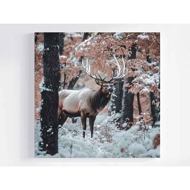 Obraz Na Plátně Canvas Příroda Les Zima Sníh Zvíře Jelen Mráz 50x50