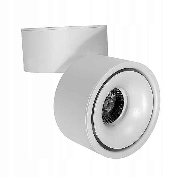 Domeno stropní Led reflektor 12W 4000K bílý, nastavitelný spot