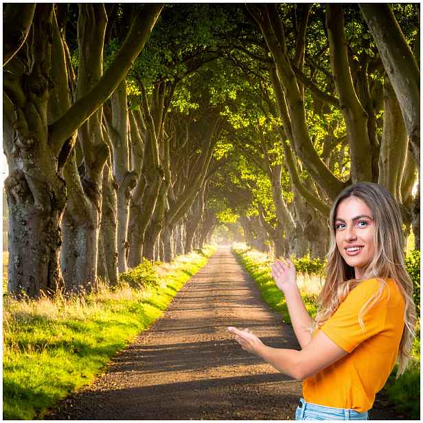 Fototapeta 3D Tunel Chodba Stromy Cesta 490x260 TUN32F