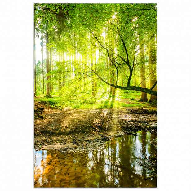 MuchoWow PLAKÁT Les - Krajina - Voda - Stromy - Slunce - Zeleň - Příroda 20x30 cm