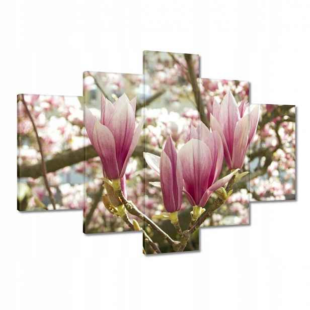 Obrazy 150x105 Magnolie