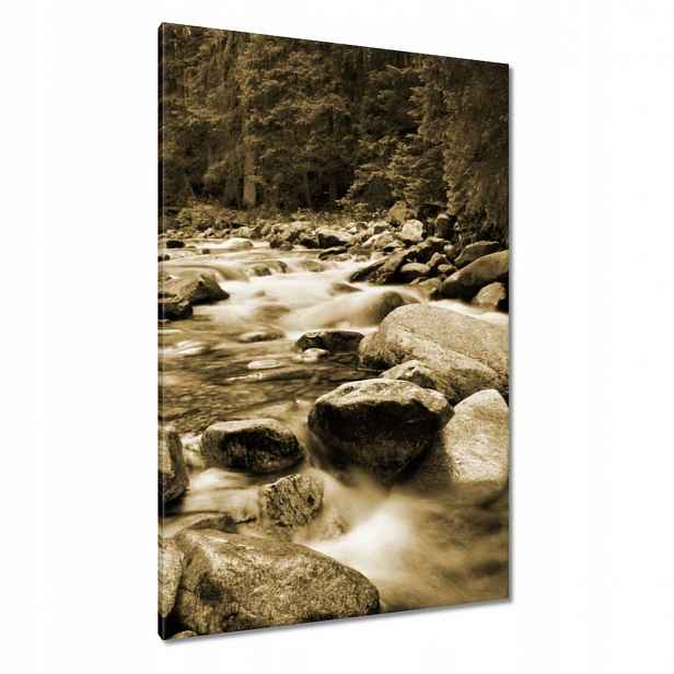 Obrazy 80x120 Tatry Polské hory Pohled