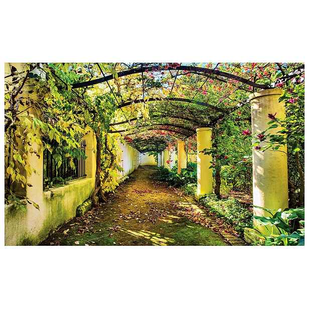 Fototapeta Květinová pergola slunný ráj 368x254 Provence a příroda lepidlo