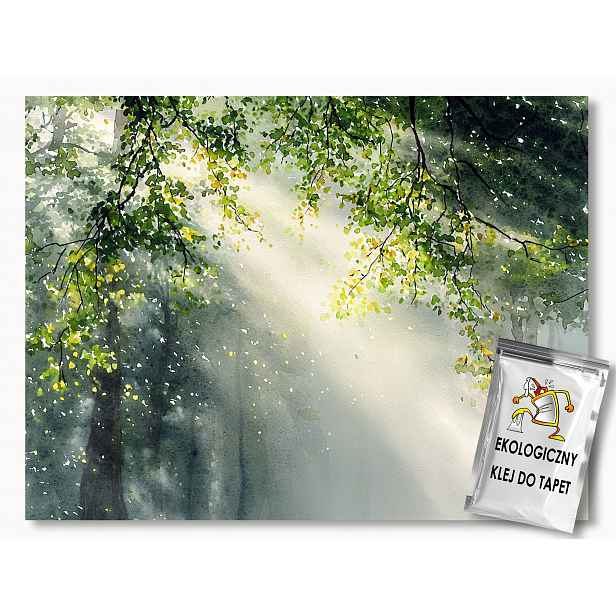 Fototapeta Flizelina Příroda Dřevo Zelené Listy Slunce 254x184 130g