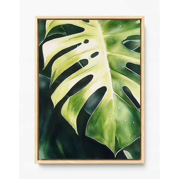 Obraz Rám Americký Box Rostlina Zelená List Monstera Filodendron 60x80