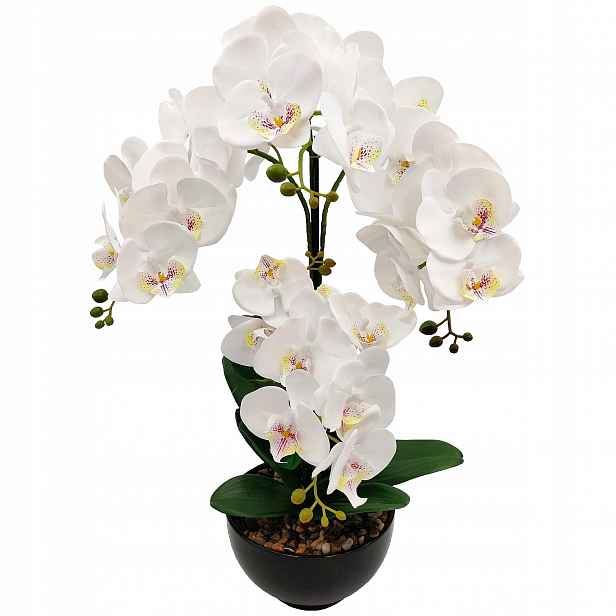 Orchidej V Květináči, Bílá Orchidej, Velká Dekorativní Kompozice