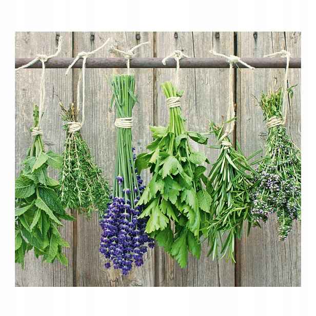 Ochranný skleněný panel na sporák Lavender, 56 x 50 cm, Zeller