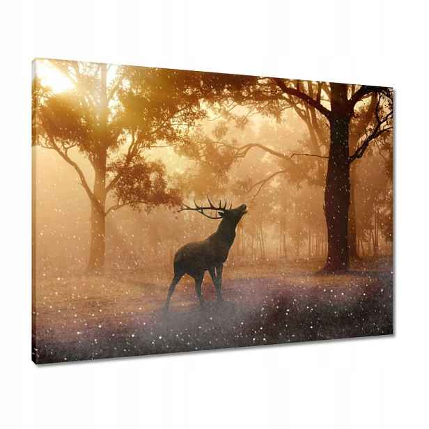 Obrazy 80x60 Jelen v lese
