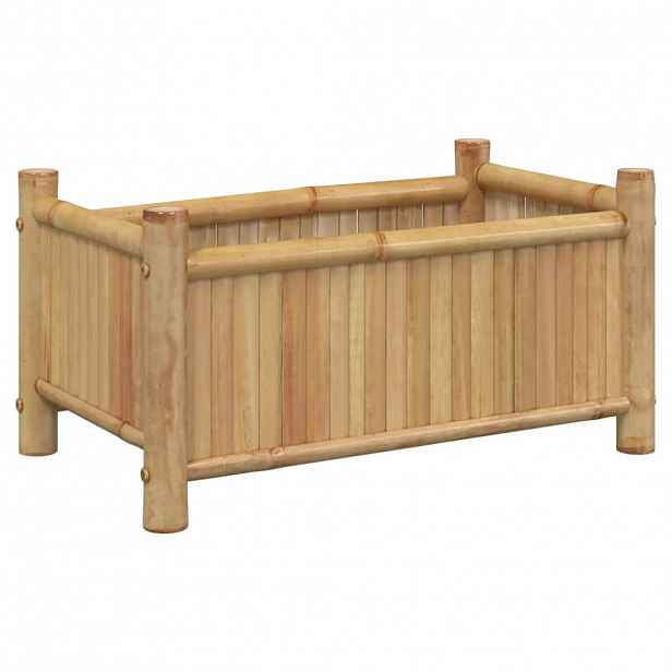 vidaXL Truhlík 50 x 30 x 25 cm bambus