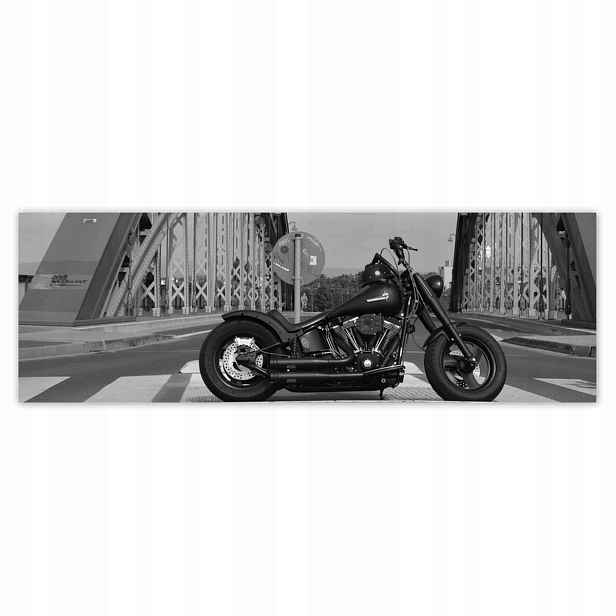 Plakáty 200x66 Harley Davidson Motocykl