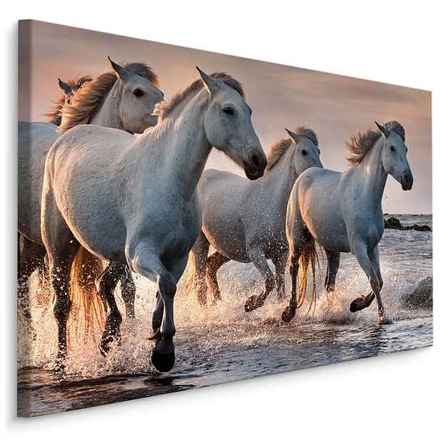 MyBestHome BOX Plátno Koně V Moři Varianta: 100x70