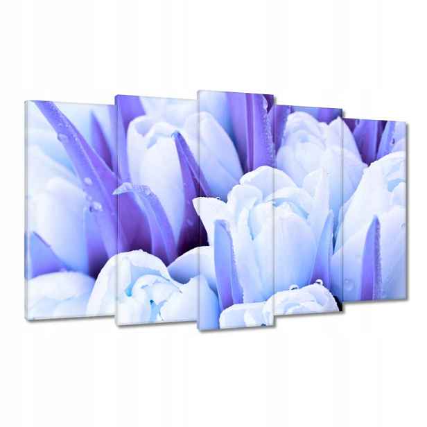 Obrazy 100x60 Modré tulipány