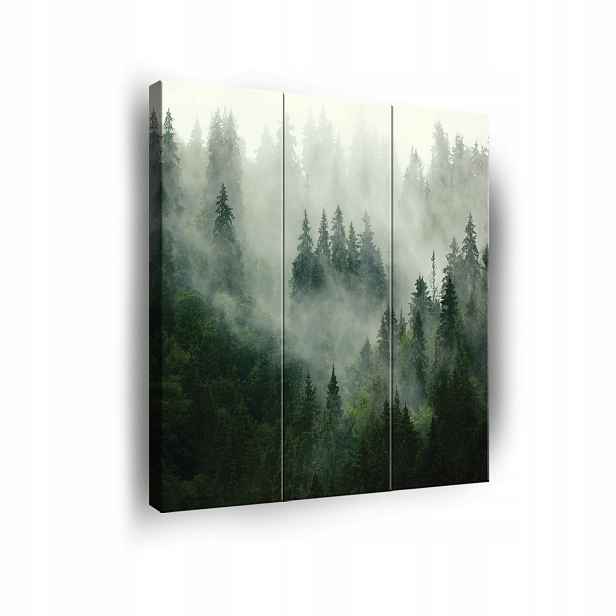 Obraz Les V Mlze Na Plátně Stěna 3 Části Triptych Ložnice Obývací Pokoj 90x100
