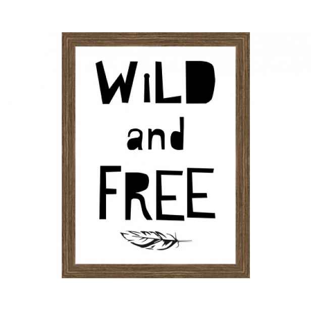 Rámovaný obraz Wild and free, 18x24 cm