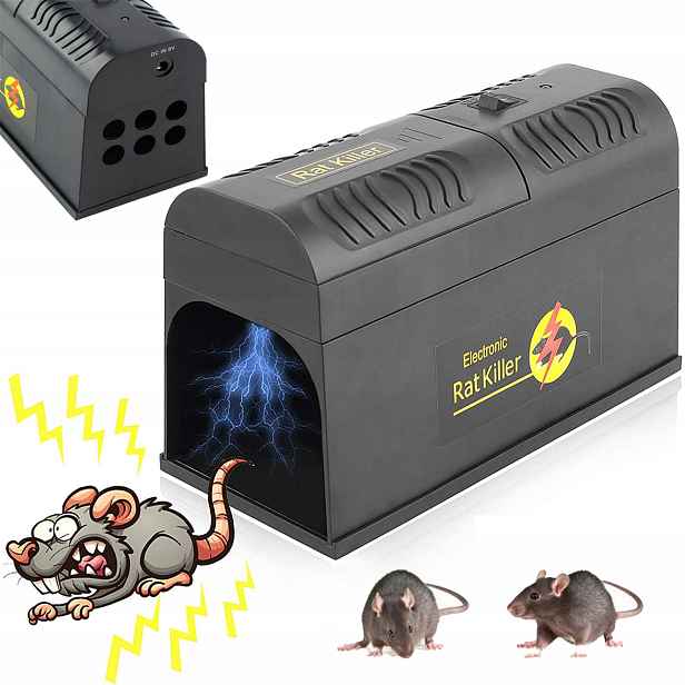 Elektrická Past Past Na Myši Krysa Hlodavci