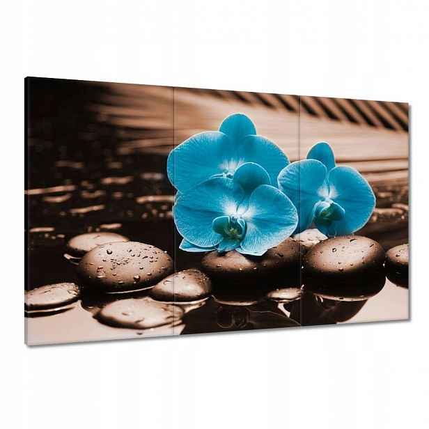 Obrazy 120x80 Tyrkysový orchidej