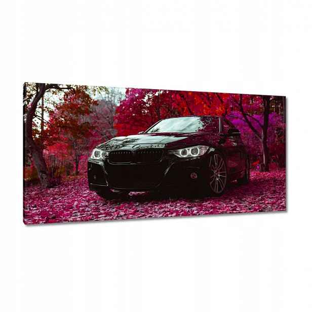 Obrazy 115x55 Černé Bmw Podzim