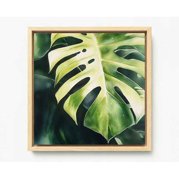 Obraz Rám Americká Krabička Rostlina Zelená List Monstera Filodendron 50x50