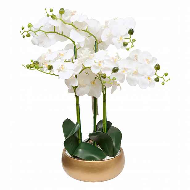 Umělá orchidej ve zlatém květináči Sanae, výška 65 cm