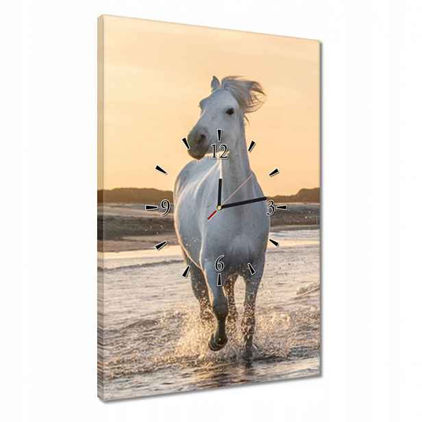 Hodiny 40x60 Divocí koně Wild Horses