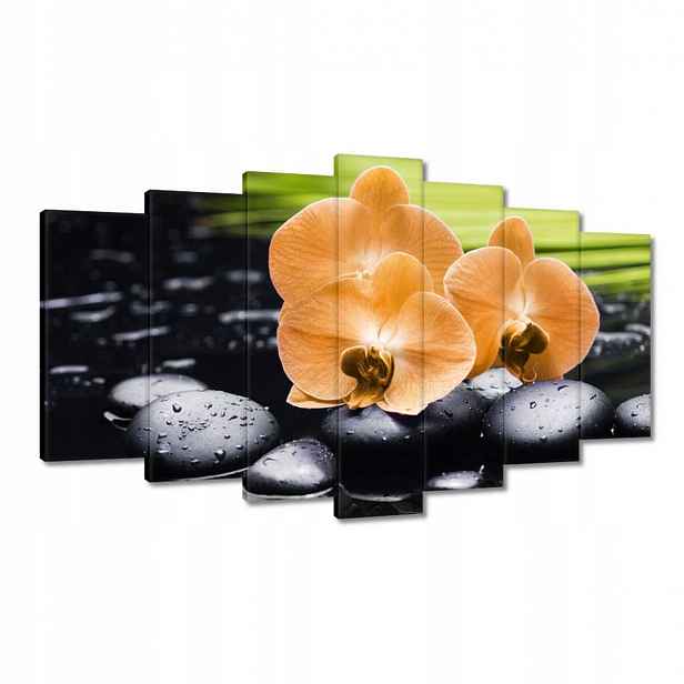 Obrazy 140x80 Oranžové orchideje